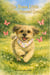 The Brave Little Puppy Named Gracie