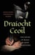 Draíocht Ceoil - The Sound of Magic in Irish Traditions
