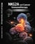 Monoclonal Antibodies Targeting NKG2A in Cancer Immunotherapy