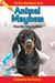 Animal Mayhem - Burnt Gloveboxes Series: Tales of Mishaps, Mayhem, and Murphy's Law, #3