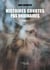 Histoires courtes pas ordinaires - Tome 2