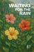 Waiting for the Rain: Bilingual Brazilian Portuguese-English Children’s Stories for Beginners