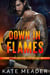 Down in Flames - Hot in Chicago Rookies, #2