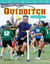 Spectacular Sports: Quidditch - Coordinate Planes