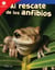 Al rescate de los anfibios