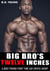 Big Bro's Twelve Inches: A Best Friend First Time Erotic Short