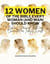 Twelve Women of the Bible Every Woman (And Man) Should Know: Biblical Stories of Faith and Character for Today’s World