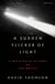 A Sudden Flicker of Light - A Revisionist History of the Movies