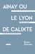 Ainay ou le Lyon de Calixte - Noblesse et bourgeoisie, catholicisme et légitimisme, xixe-xxe siècles