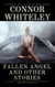 Fallen Angel and Other Stories: 5 Dark Contemporary Fantasy Short Stories - Hell's Place Contemporary Fantasy Stories