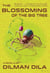 The Blossoming of the Big Tree - Ododo Novellas, #1