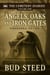 Angels, Oaks and Iron Gates - The Cemetery Diaries, #1