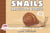 Snails Are Just My Speed!