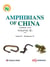 Amphibians of China