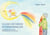 Die Geschichte vom Sternenkind und seinem Regenbogengeschenk - Ein Bilderbuch über Verlust, Hoffnung und die Liebe, die bleibt