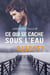 Ce qui se cache sous l’eau - Lancaster Falls en francais, #1