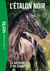 L'Etalon noir (nouvelle édition),  Tome 19 - La naissance d'un champion