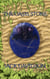 The Oasis Stone - The Vent Chronicles, #1
