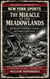 Miracle at the Meadowlands - Infamous Moments in New York Sports