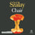 Chair - Booker Prize 2025