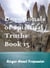 Devotionals of Spiritual Truths: Book 13 - The Devotional Commentary Library, #13