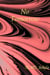 No Tomorrow - Tribble Month, #4