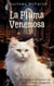 La Pluma Venenosa - Un Misterio Acogedor de Millie, la Gata Milagrosa, #4