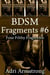 BDSM Fragments #6 - Filthy Fragments, #29