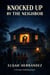 Knocked Up By The Neighbor - The Lie Between Us