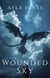 The Wounded Sky - chicago dragon chronicles, #3