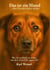 Das ist ein Hund ... aber Hunde ticken anders - Wie du wirklich verstehst, was dein Hund dir sagen will