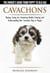 Cavachons  - The Owner's Guide from Puppy To Old Age - Choosing, Caring for, Grooming, Health, Training and Understanding Your Cavachon Dog or Puppy