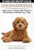Goldendoodle - The Owners Guide from Puppy to Old Age - Choosing, Caring for, Grooming, Health, Training and Understanding Your Goldendoodle Dog