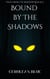 Bound to the Shadows - Tales From the Shadow Realm, #3