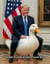 Donald Trump is like a lame duck
