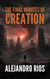 The Final Minutes of Creation