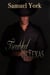 Troubled In Texas - Twisted In Texas, #2