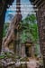 Ta Prohm Temple: Beyond the Jungle Myth of Angkor - Angkor and the Khmer Empire, #8