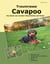 Traumrasse Cavapoo - Das Beste aus Cavalier King Charles Spaniel und Pudel