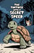 The Tortoise With a Secret Speed