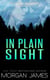 In Plain Sight - Retribution Series, #8