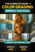 BMPCC Color Grading Ebook and LUTs Pack for Blackmagic Pocket Cinema Camera 4K and 6k