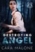 Destroying Angel: A Sapphic Romantic Suspense Novel - Fox County Forensics, #6