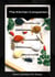 The Kitchen Companion - Flavors + Knowledge, #1