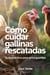 Cómo cuidar gallinas rescatadas: guía práctica para principiantes (ex battery hens)