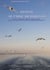 Journal of Ethnic Microhistory - Issue 14, IV-2025