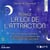 Activez la loi de l'attraction - 28 protocoles pour pratiquer la manifestation consciente et créer une vie alignée avec vous-même
