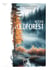 Retour à Oldforest