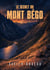 Le secret du Mont Bégo - Un thriller alpin au coeur du Mercantour, entre légendes et gravures rupestres