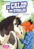 Le Galop des Étoiles - Le cheval du médaillon - Tome 7